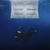 Billie Eilish Hit Me Hard And Soft Cd Importado Con Poster - LEF CASA DE MUSICA