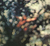 Cd Pink Floyd, Obscured By Clouds