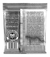 Encordado Electrica Ernie Ball P03120 Coated Slinky 011 048 en internet