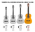 Guitarra Criolla De Estudio Verde + Funda en internet