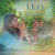 Leo Rojas Flying Heart Cd Nuevo