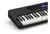 Imagen de Teclado Casio Ct-s400 Portátil 5/8 - 61 Teclas Sensitivas