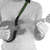 Correa Magma Para Ukelele Verde - comprar online