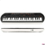 Imagen de Teclado Casio Infantil Casiotone Sa-81 Con 44 Teclas