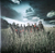 Slipknot All Hope Is Gone Vinilo Importado