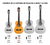 Guitarra Criolla Clasica Gracia Modelo Niño Infantil - LEF CASA DE MUSICA