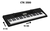 Teclado Casio Ctk3500 Sensitivo 5 Oct 61t + Fuente Regalo