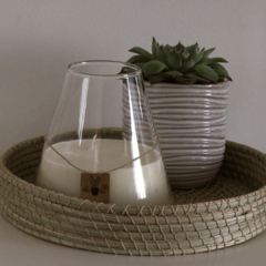 Vela Conica "Nix" XL - Cactus Mio