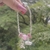 Pulseira Enfermagem