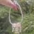 Pulseira Enfermagem