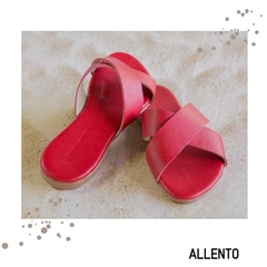 ALÍCIA na internet