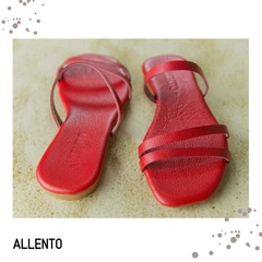 BELINDA - comprar online