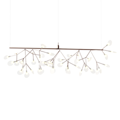 HERACLEUM ENDLESS