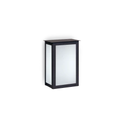 Aplique Farol Exterior Vidrio Difuso Hierro Muro 2 TEC