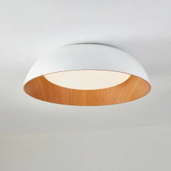 Plafón techo LINEA WELL LED 36W Ø50cm VIG - comprar online