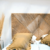 Respaldo Capri - House Store — shop online