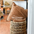 Canasto Pao - House Store — shop online