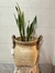 Canasto Capovia - tienda online