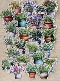 Kit adesivos vasos e ervas - comprar online