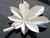 Imagen de Hoja Decorativa Lanin