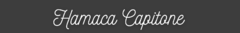 Banner de la categoría Capitone