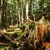 Ushuaia | Parque Nacional y Tren del Fin del Mundo - turisteandobuenosaires