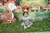 Body 2 em 1 com Asa e sainha Jardim Encantado Azul - loja online