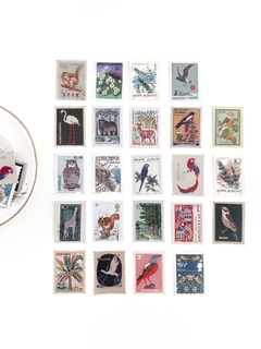 Kit de adesivos Selos - Animais Vintage - Cactus Home