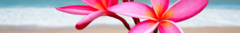 Banner de la categoría Monitores