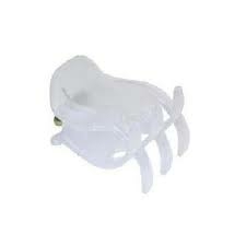 PIRANHA GRANDE - comprar online