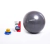 Pelota de Esferodinamia 65 cm. - RANDERS - comprar online