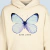 Butterfly Morpho