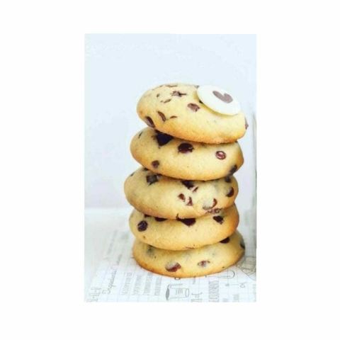 GALLETA CHOCOCHIP LAB BY SARIS