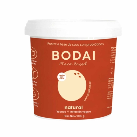 YOGURT BODAI 1000GR