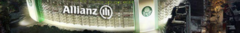 Banner da categoria Palmeiras