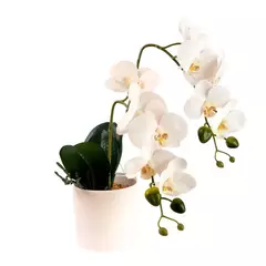 Orquidea blanca 45cm
