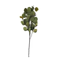 Vara eucalipto 85cm