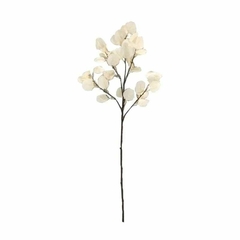 Vara eucalipto 85cm - comprar online