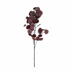 Vara eucalipto bordo 94cm