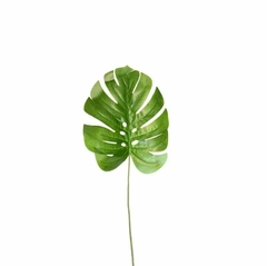 Hoja mostera
