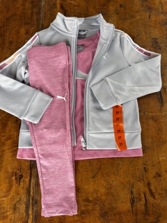 Trio Puma Rosa