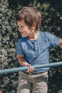 Remera lino Alamo - comprar online