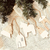 Dijes Wood Nordic