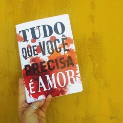 caderno collab "Tudo que você precisa é amor"