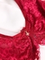 Imagem do Conjunto Em Renda Sem Bojo Com Aro - Scarlet