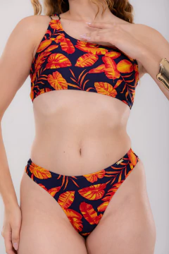 Biquíni Fio Dental Asa Delta Busto Com Bojo Removível 03602269152 - comprar online