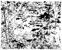 Sobre la linde #05, 2014.