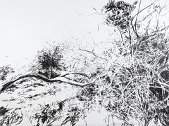 Siesta de verano #01, 2015. Pastel y grafito sobre tela. 150x200 cm.