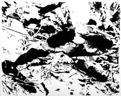 Sobre la linde #06, 2014.