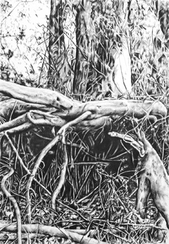Barranca abajo #03, 2020. Pastel y grafito sobre papel algodón. 118x82 cm.